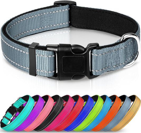 Adjustable reflective nylon webbing dog collar